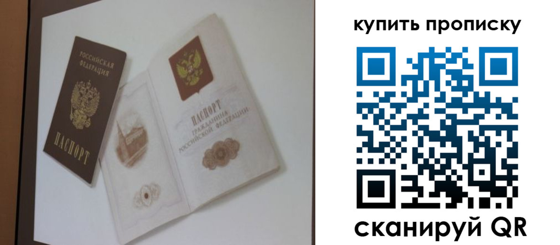 где прописаться в Алексине